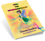 Heba the Ho'oponoponoist Book Image